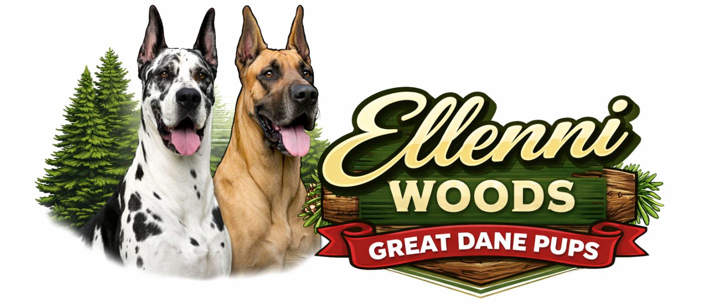 Ellenni Woods Great Dane Pups